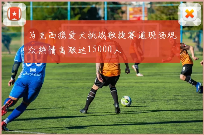 马克西携爱犬挑战敏捷赛道现场观众热情高涨达15000人